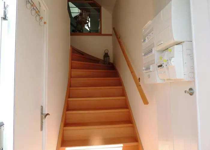 Le Petit Vauquelin *